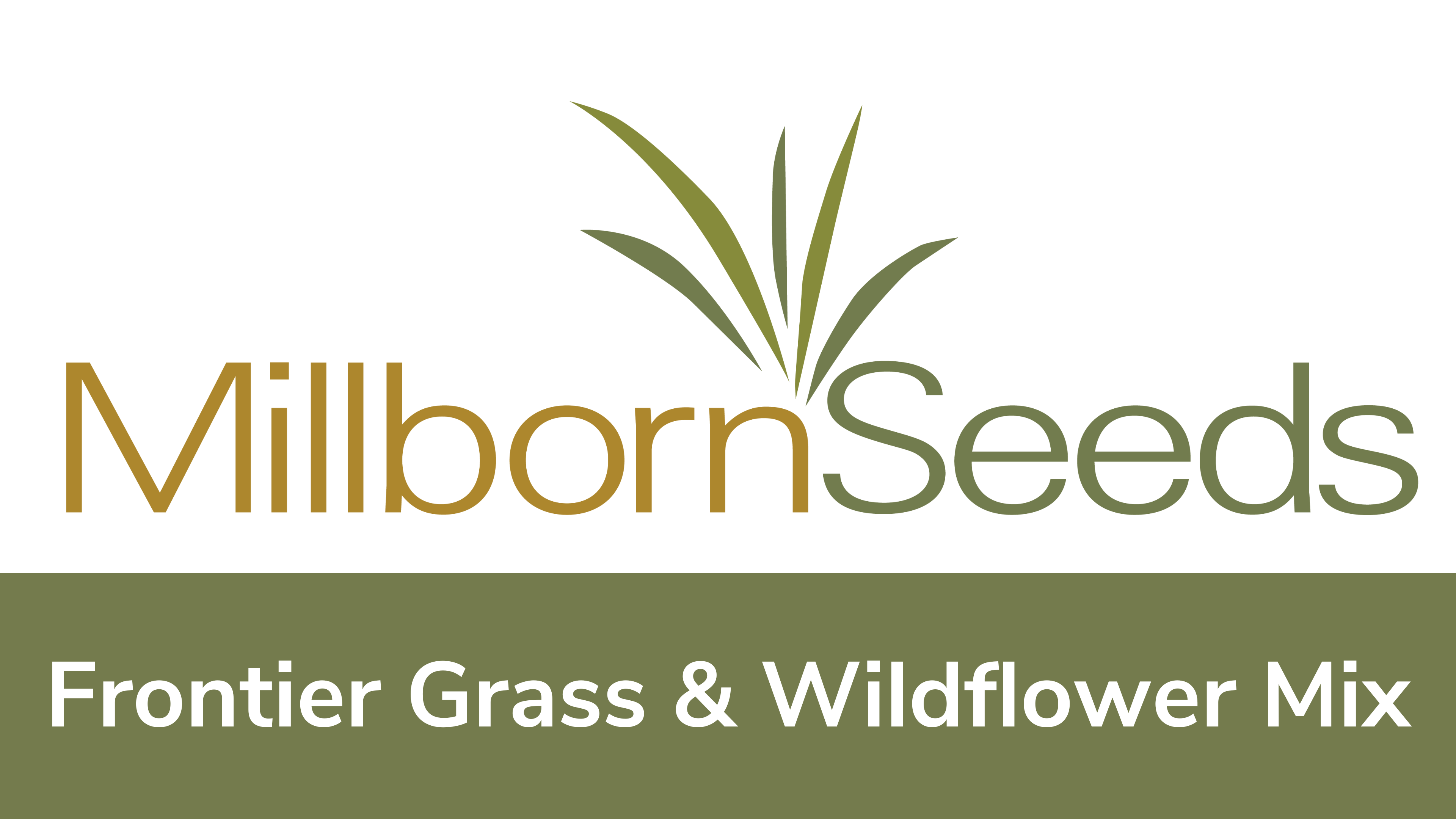 Millborn Seeds - Frontier Grass & Wildflower Mix