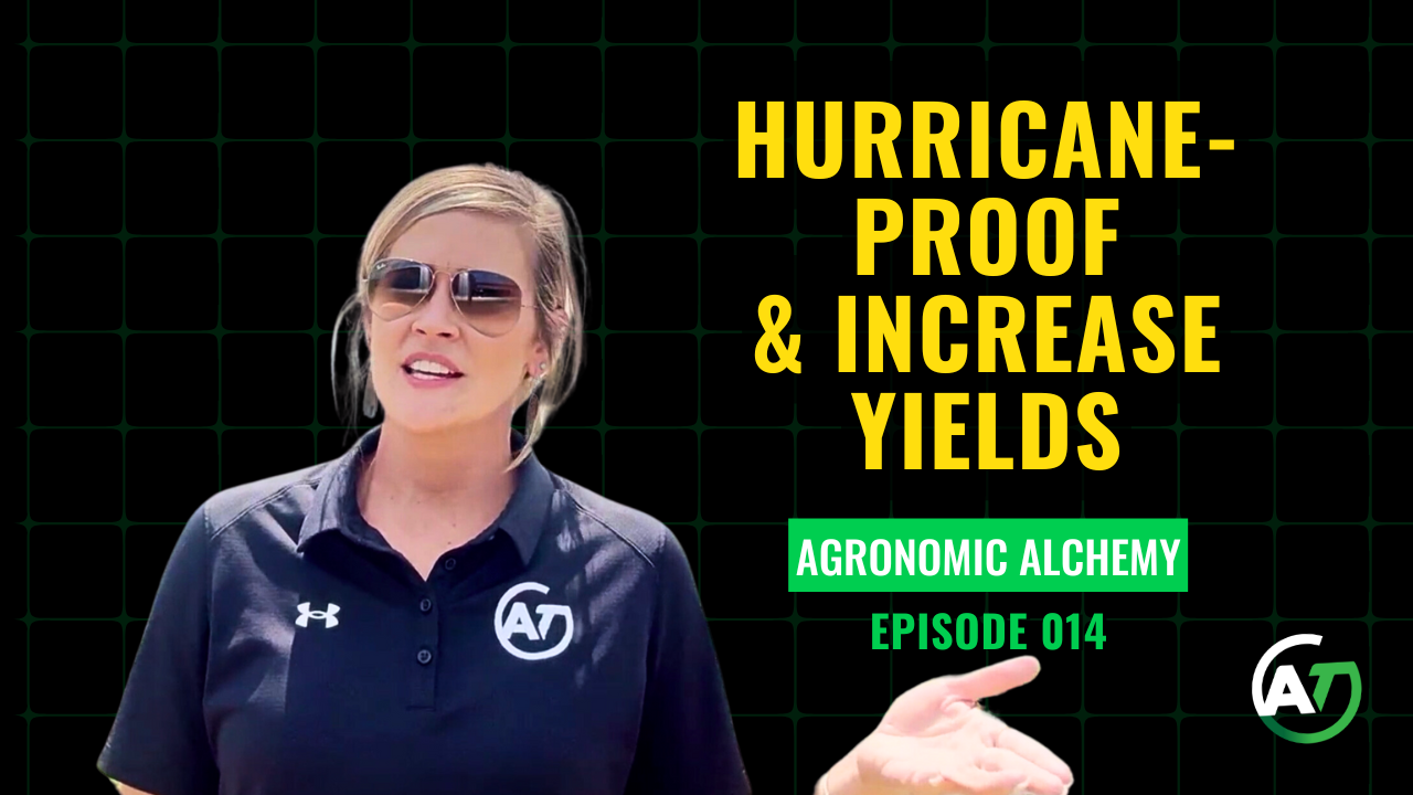 Early Season Response to Treatment Boosting Yields in ANY Weather | AgroTechUSA 