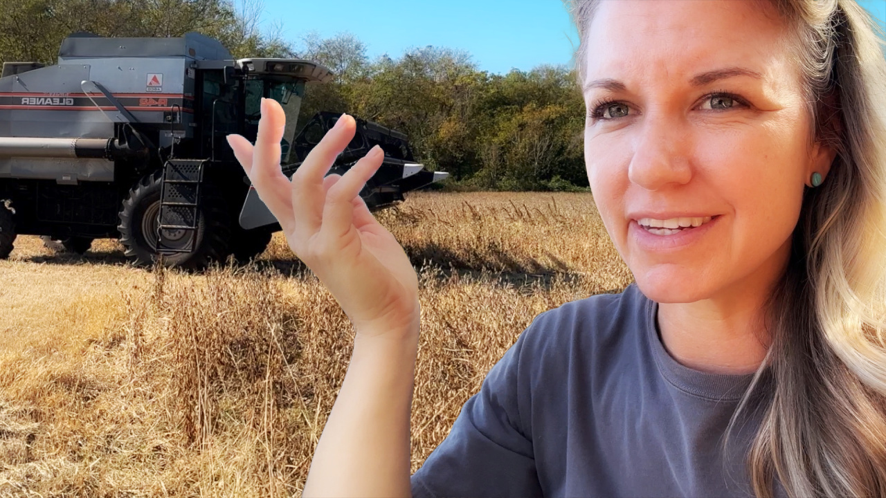 Harvesting Hiccups || This Farm Wife