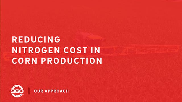 Reducing Nitrogen Cost in Corn Produc...