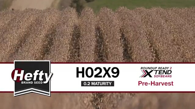 H02X9 | 0.2-Maturity | Xtend