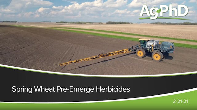 Spring Wheat Pre-Emerge Herbicides | ...