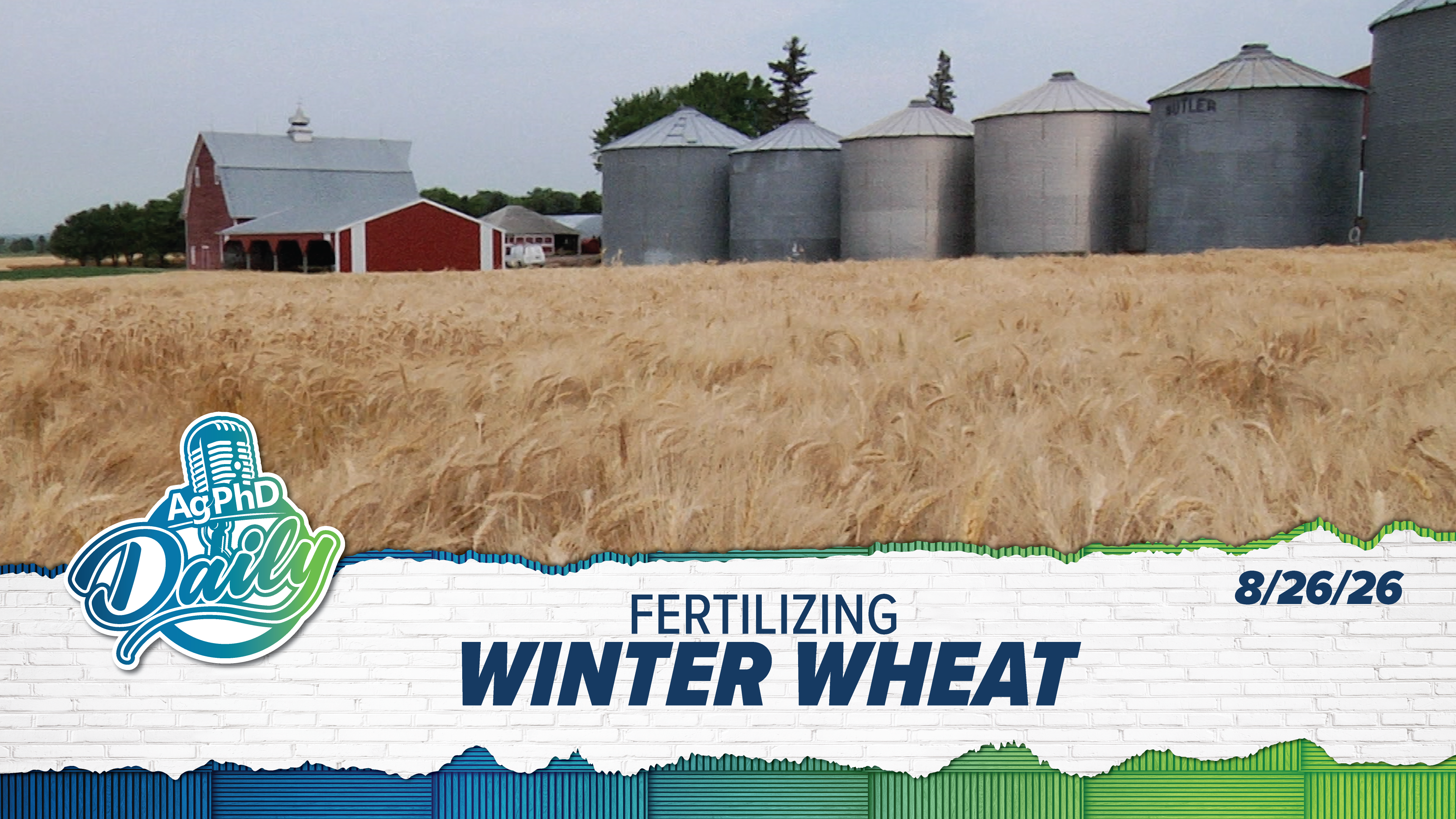 Fertilizing Winter Wheat | Ag PhD Daily | 08/26/26