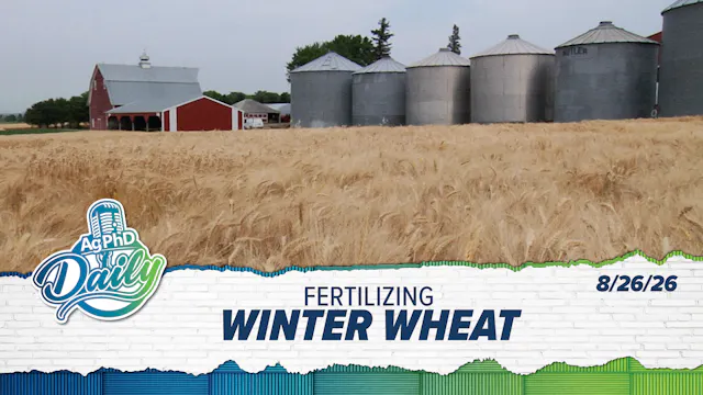 Fertilizing Winter Wheat | Ag PhD Dai...