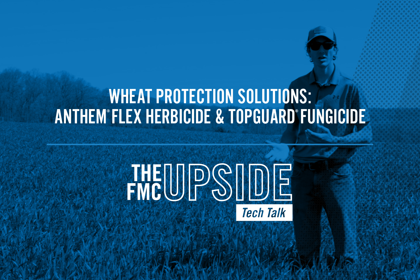 Wheat Protection Solutions: Anthem® Flex Herbicide and Topguard® Fungicide | FMC