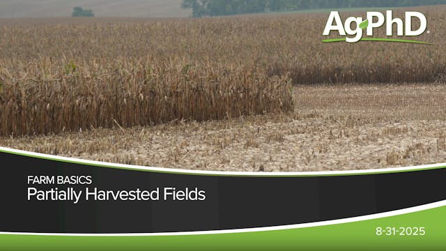 Partially Harvested Fields | Ag PhD