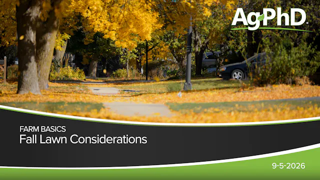 Fall Lawn Considerations | Ag PhD