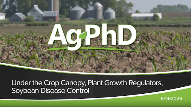 Under the Crop Canopy, Plant Growth R...