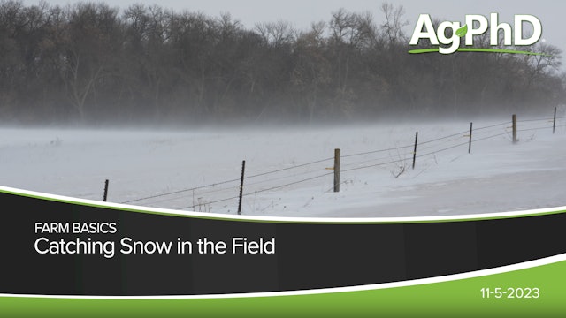 Catching Snow in the Field | Ag PhD