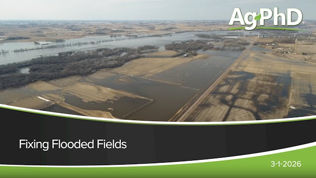 Fixing Flooded Fields | Ag PhD