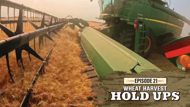 Wheat Harvest Begins With a Rocky Sta...