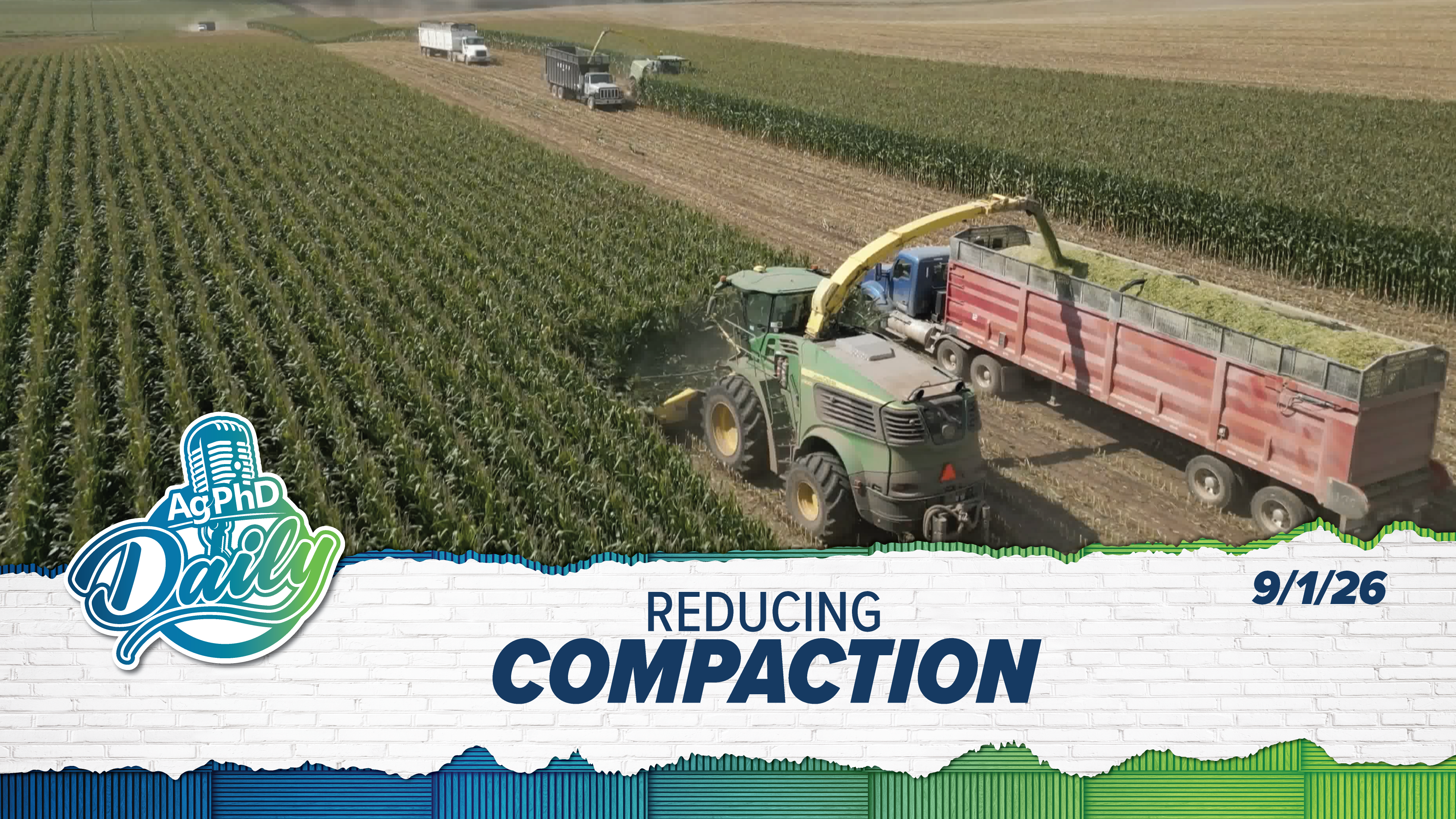 Reducing Compaction | Ag PhD Daily | 09/01/26