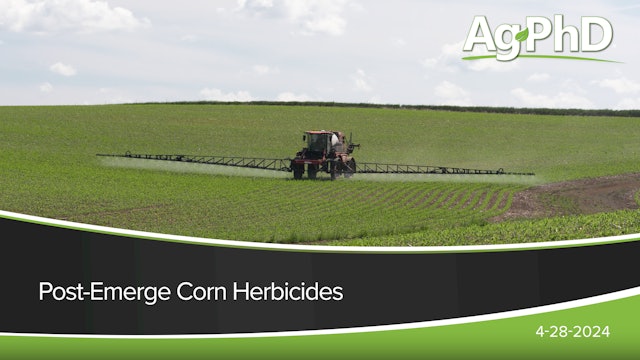 Post-Emerge Corn Herbicides | Ag PhD