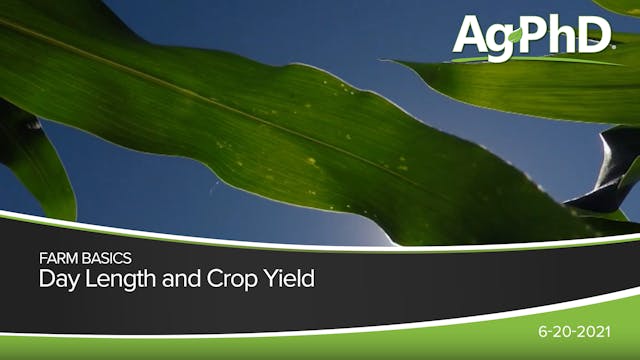 Day Length and Crop Yield