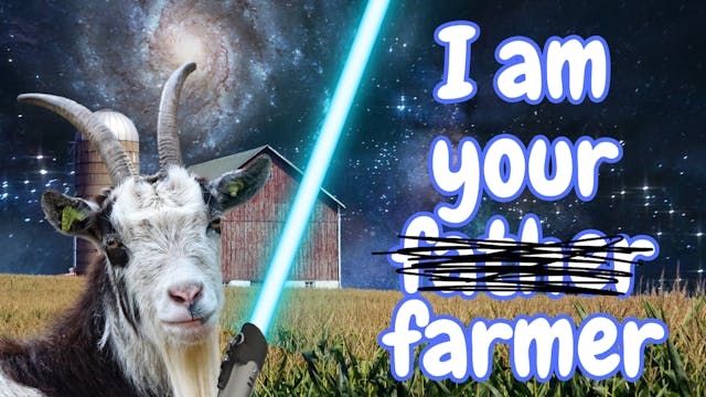 Starwalker Farms! | WAG in Focus 10-2...