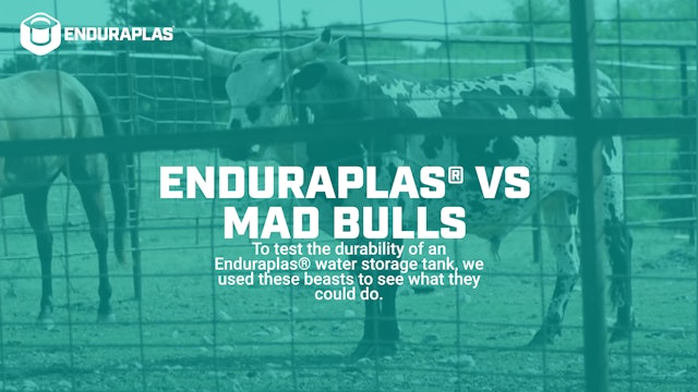 Enduraplas® vs Mad Bulls | Tough Water Storage Tanks