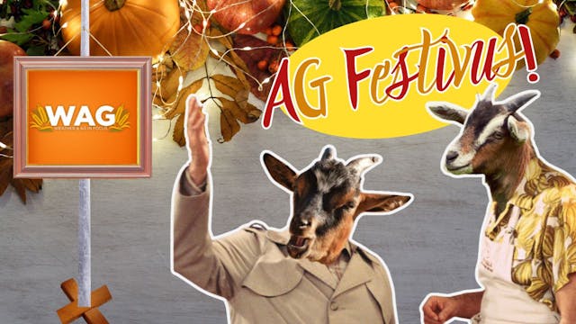  AG Festivus! | WAG in Focus 11/22/23