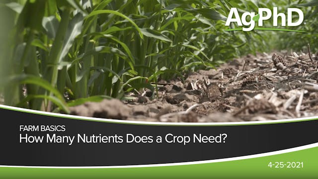 How Many Nutrients Does a Crop Need? ...