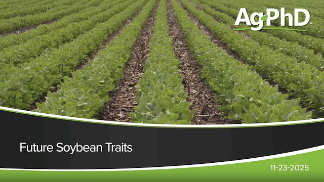 Future Soybean Traits | Ag PhD