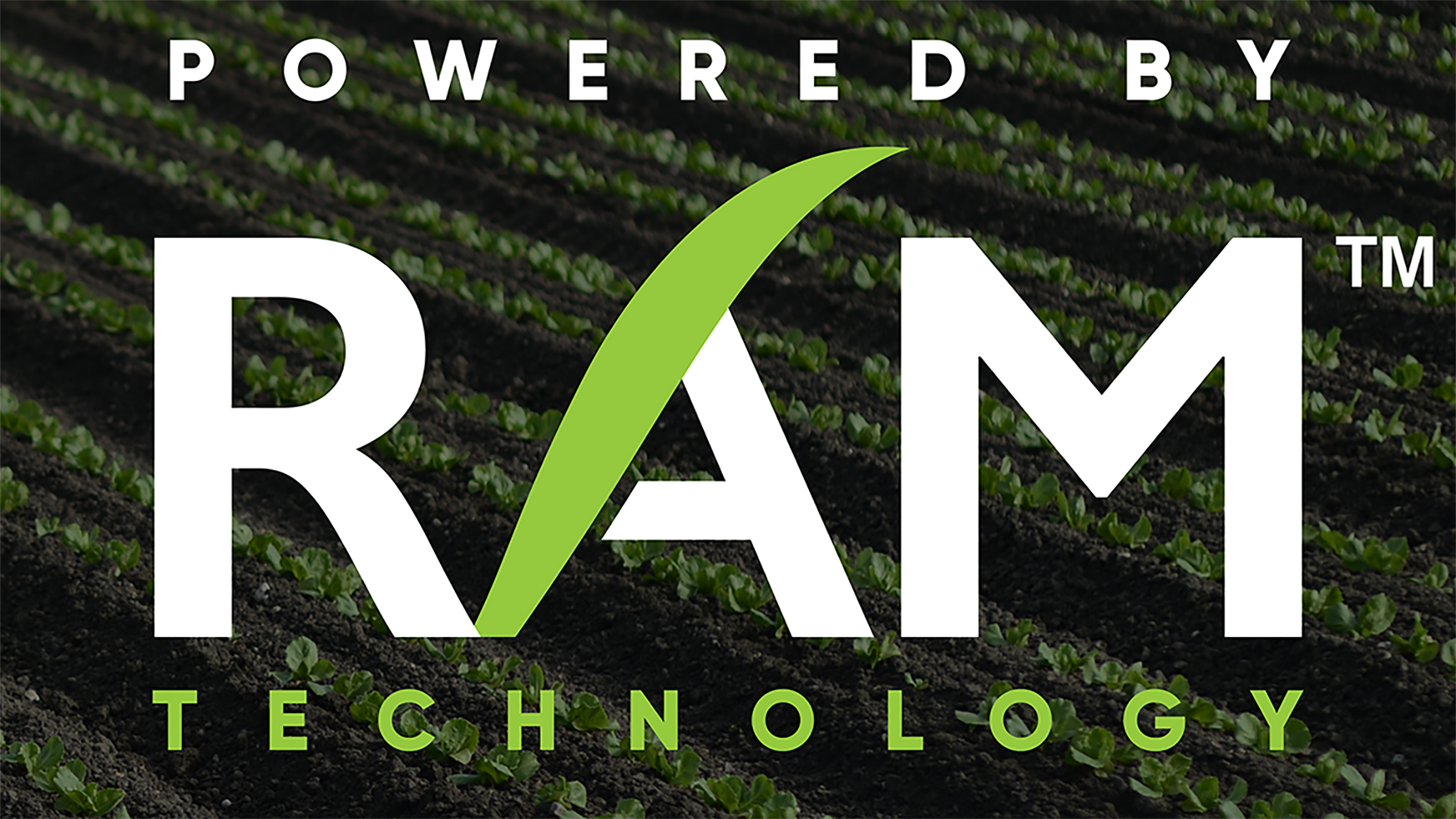 RAM Technology