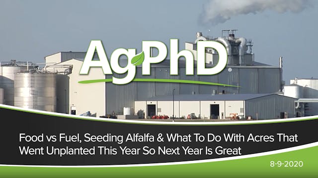 Food vs Fuel, Seeding Alfalfa, What t...