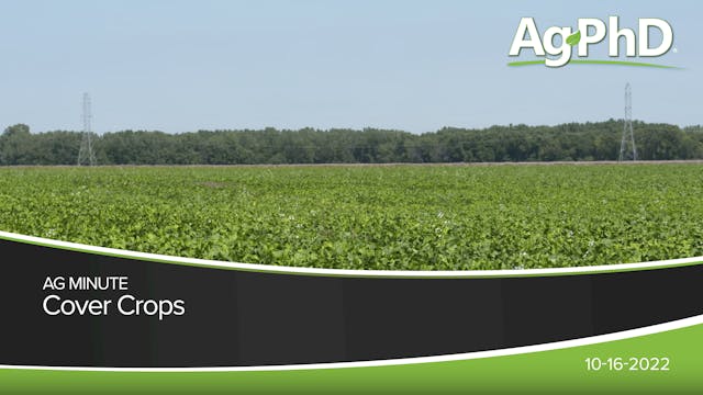 Cover Crops | Ag PhD