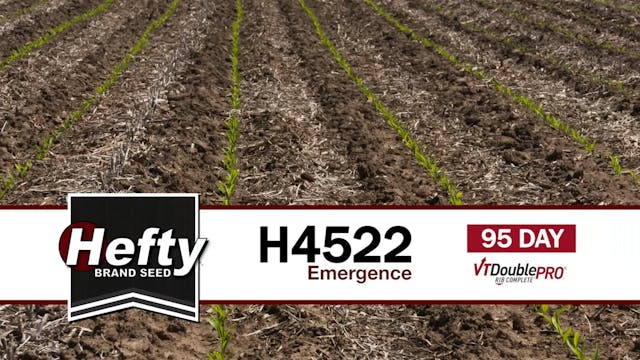 H4522 | 95-Day | VT2P