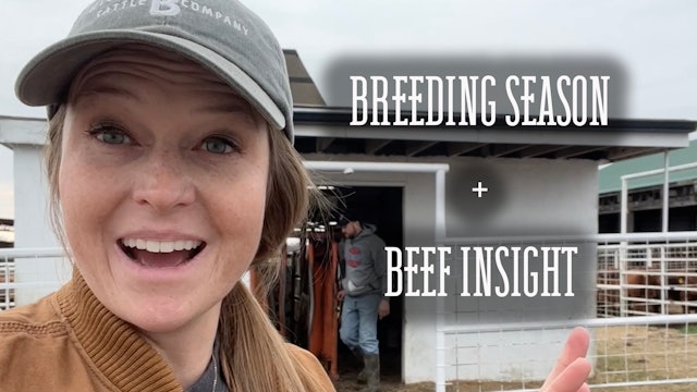 Breeding Season + Beef Insight | Buzzard's Beat