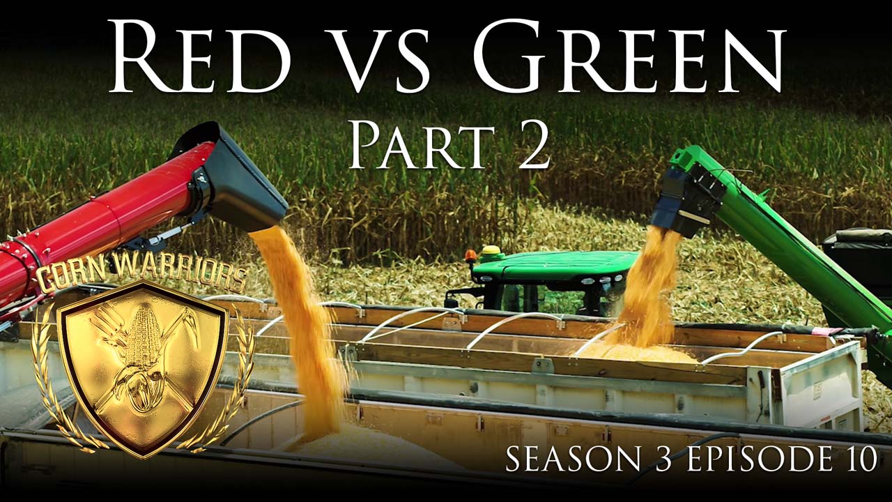 Corn Warriors | 310 | Red vs Green