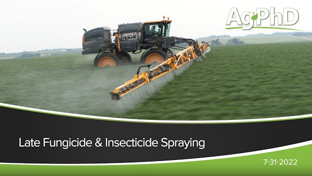 Late Fungicide & Insecticide Spraying...