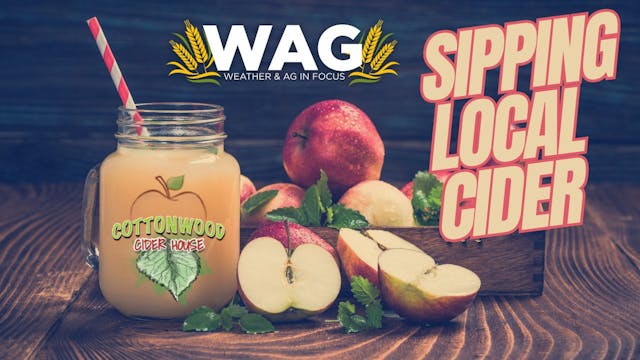 Sipping Local Cider | WAG in Focus 11...