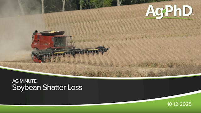 Soybean Shatter Loss | Ag PhD