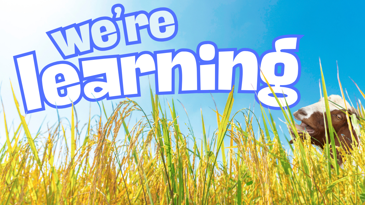 Peaceful Farming | WAG in Focus 05-30-25