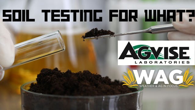 Soil Testing for What? | WAG in Focus...