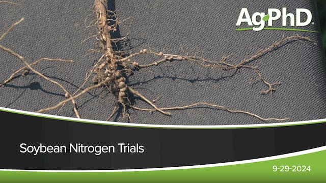 Soybean Nitrogen Trials | Ag PhD