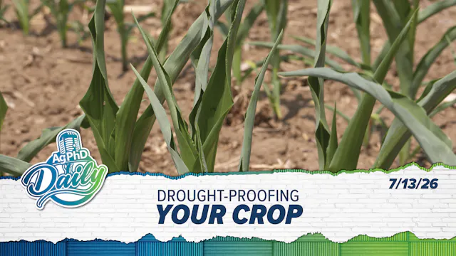 Drought-Proofing Your Crop | Ag PhD D...