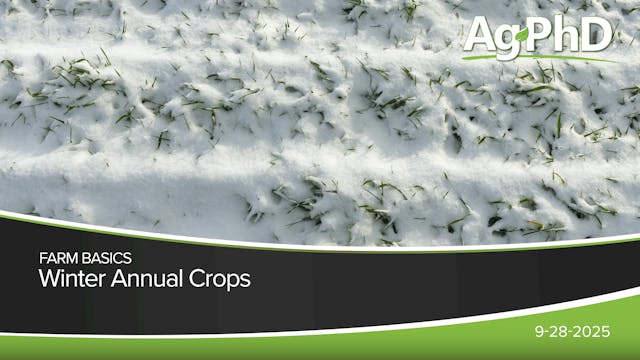 Winter Annual Crops | Ag PhD