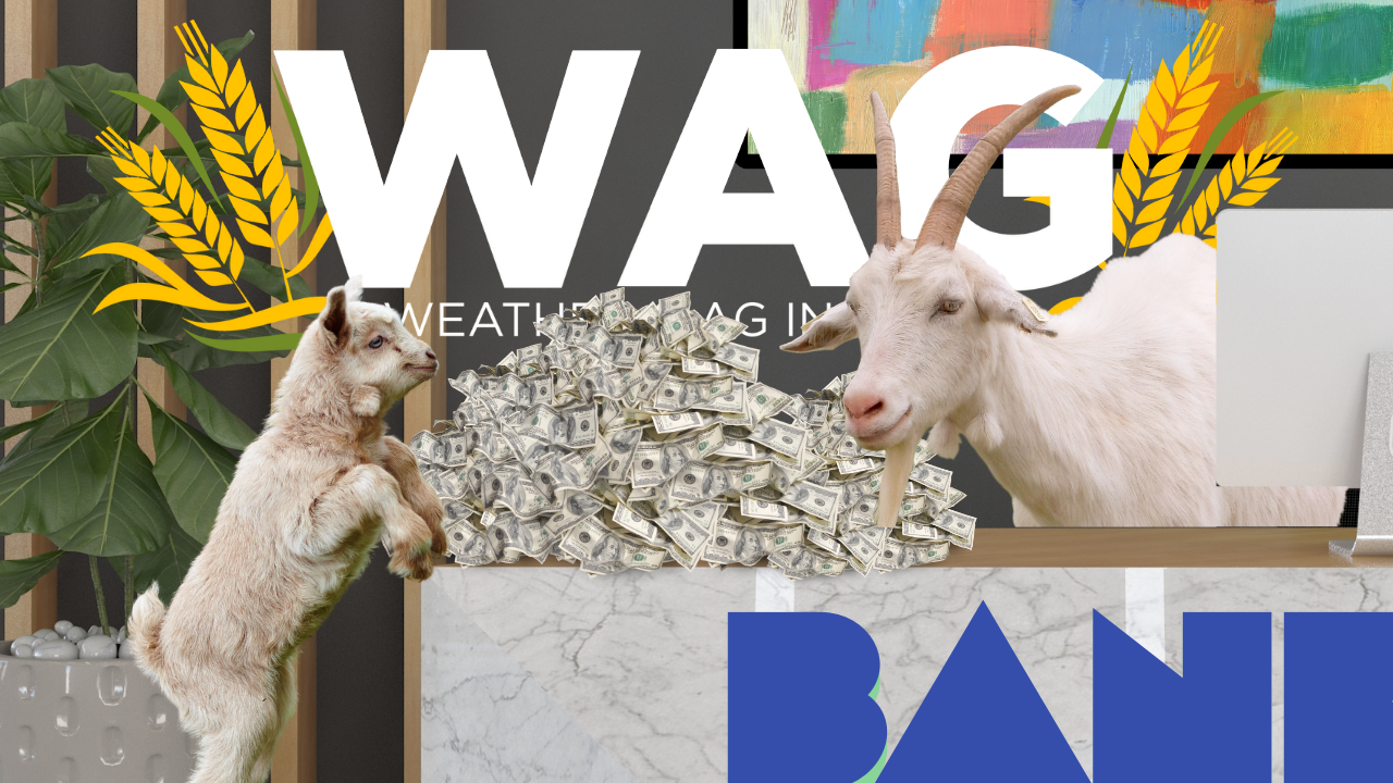 Banking on the Farm | WAG in Focus 07-13-26