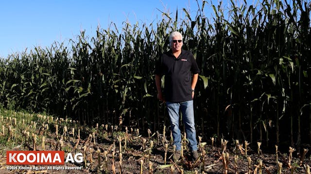 Corn Report from Iowa and New York | ...