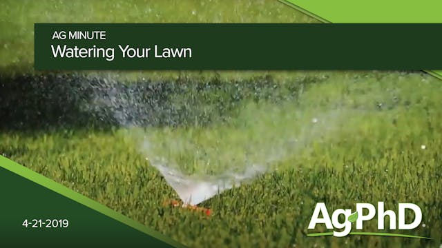 Watering Your Lawn