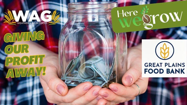 Giving Our Profit Away! | WAG in Focu...