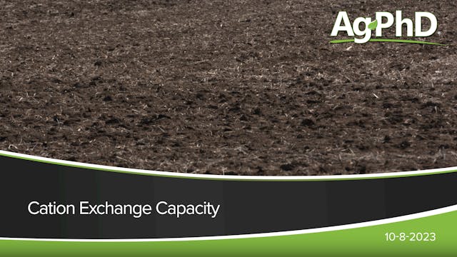 Cation Exchange Capacity | Ag PhD
