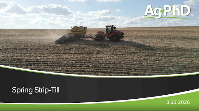 Spring Strip-Till | Ag PhD
