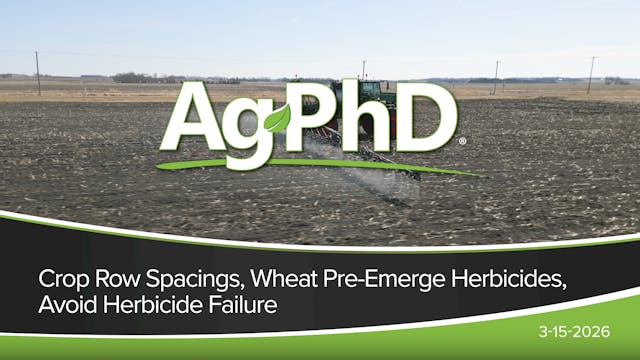 Crop Row Spacings, Wheat Pre-Emerge H...