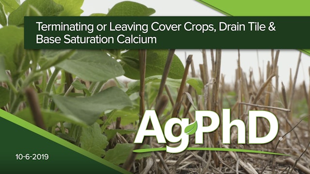 Terminating or Leaving Cover Crops, Drain Tile, Base Saturation Calcium