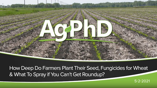 How Deep to Plant Seed, Fungicides fo...