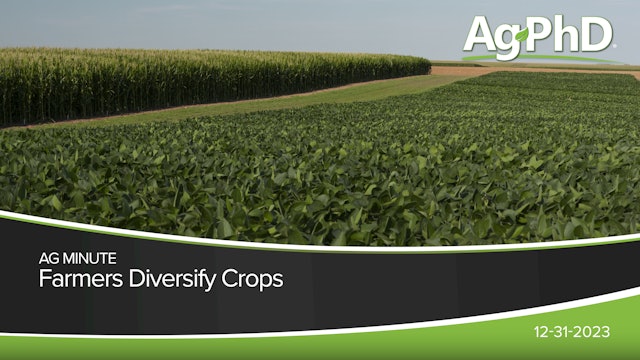 Farmers Diversify Crops | Ag PhD
