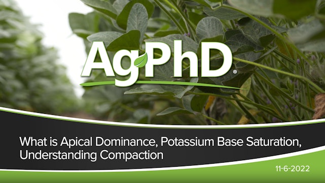 Apical Dominance, Base Saturation: Potassium, Understanding Soil Compaction