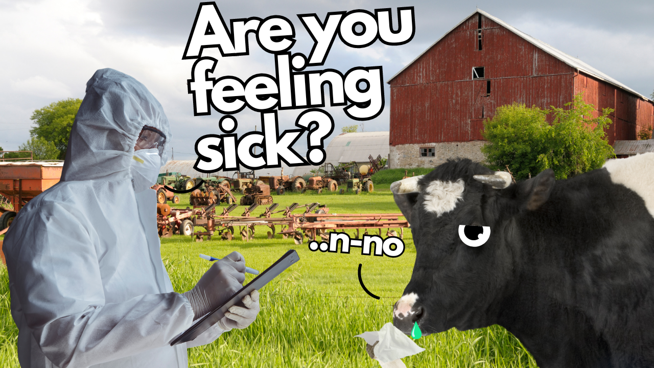 After the Flood Waters Subside.... | WAG in Focus 07/23/24