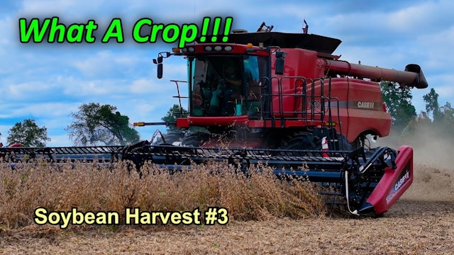 Wow!!! What A Crop!!!  Soybean Harvest #3 | Griggs Farms